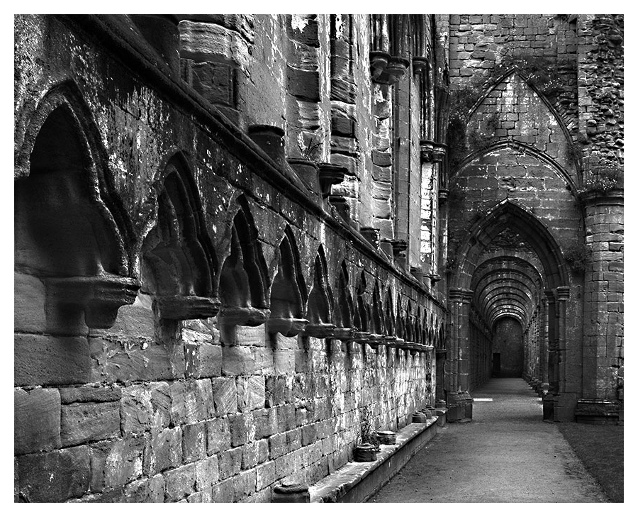 The Stones of Fountains Abbey