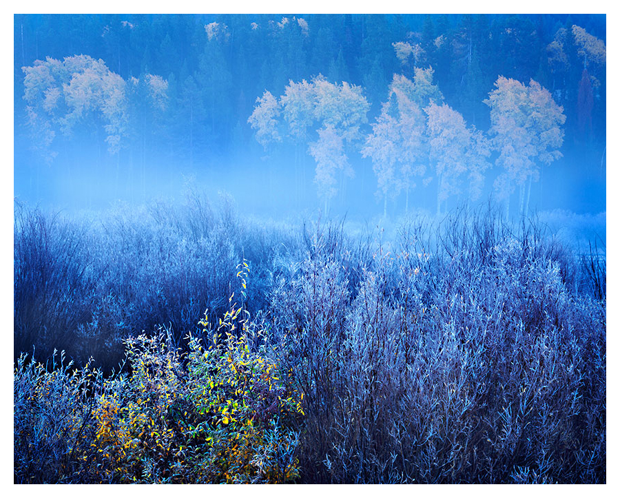 Morning Frost in the Tetons