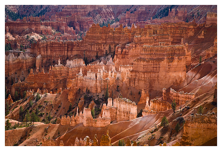 Bryce Canyon Vista