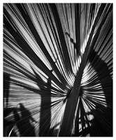 © Robert W. Kolb