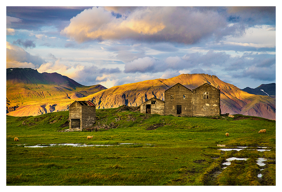 Pastoral Iceland