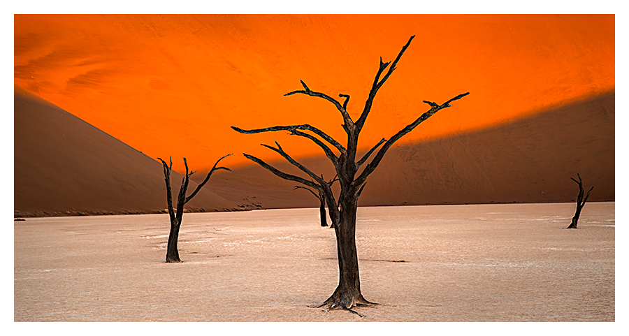 Deadvlei 2